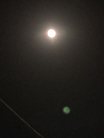 満月の夜はやっぱり… 聖夜-せいや-の投稿画像