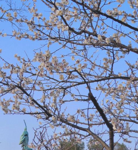 お散歩中にふと。。。 聖夜-せいや-の投稿画像