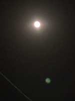 満月の夜はやっぱり…