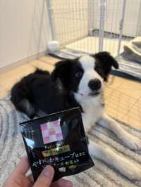 「優しさのおすそわけ」